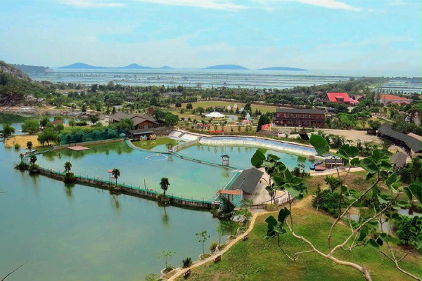 太湖牛仔俱樂部 太湖牛仔俱樂部