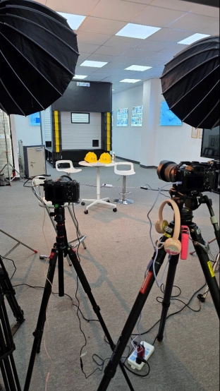 成人午夜免费APP門業采訪現場